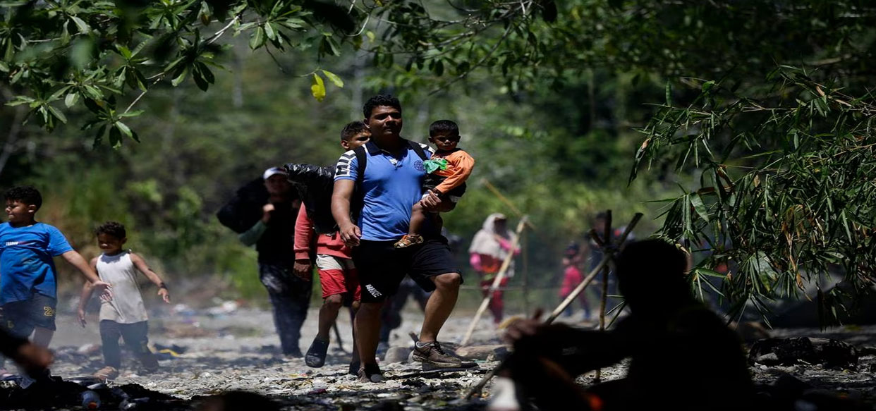 M S De Ni Os Han Cruzado Este A O La Selva Del Dari N