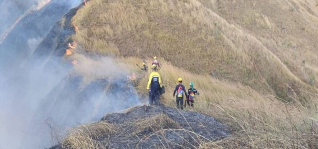 Más de 200 hectáreas consumió el incendio en el Parque Nacional Henry Pittier