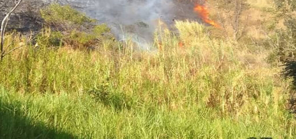 Ávila amenazada por incendio forestal