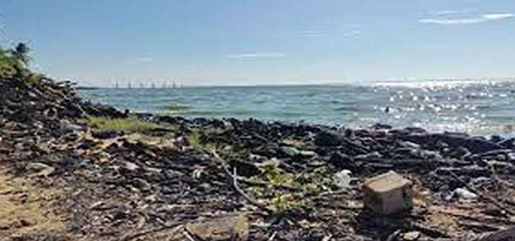 Se han sacado del Lago de Maracaibo más de 140 mil toneladas de desechos