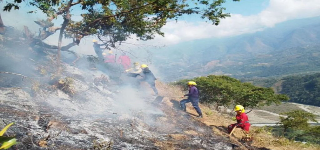 Se registran cuatro incendios de vegetación en Trujillo