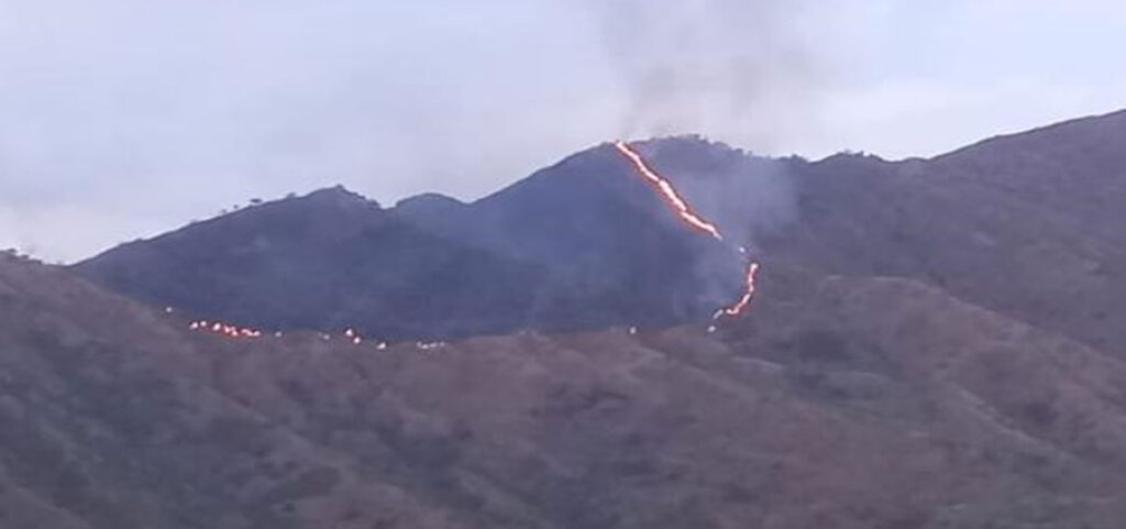 Incendio forestal se registro en el Parque Henri Pittier