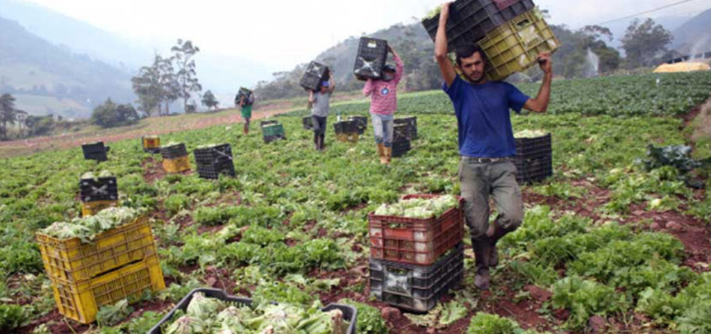 Productores de Barinas se ven afectados por falta de gasoil 