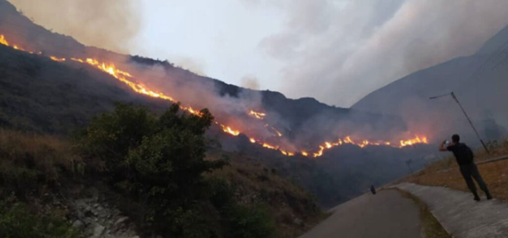 Causas de los incendios forestales en Táchira serán investigados 