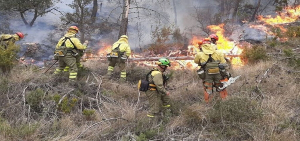 Controlan incendio forestal en Catatumbo