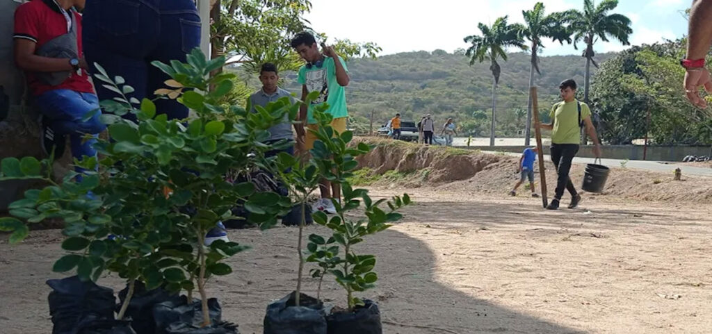 Plan de arborización en Playa Grande realizaron estudiantes de la Uptp