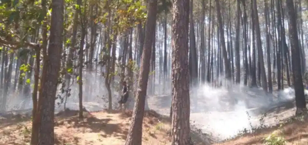 Alerta por persistencia de incendios forestales en Carabobo