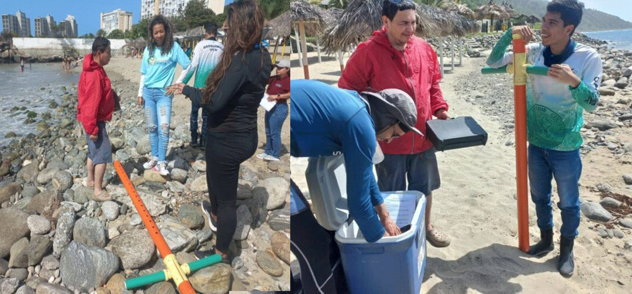 La Guaira| Inician ensayo piloto para evaluar condiciones de producción de pastos marinos