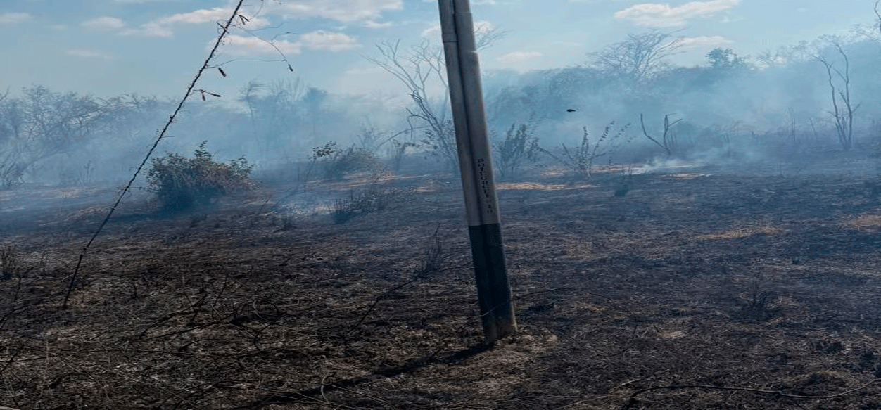 Anzoátegui| Incendio forestal consume hectáreas de vegetación en La Ceiba (+Video)