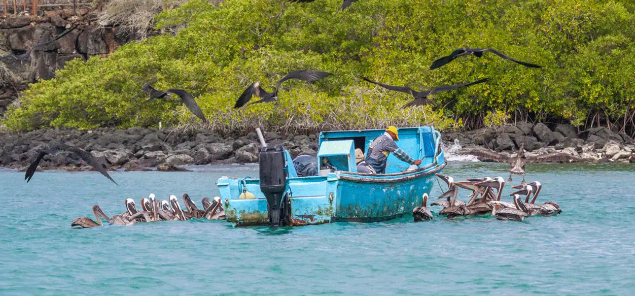 Lanzan primer bono de biodiversidad en Ecuador
