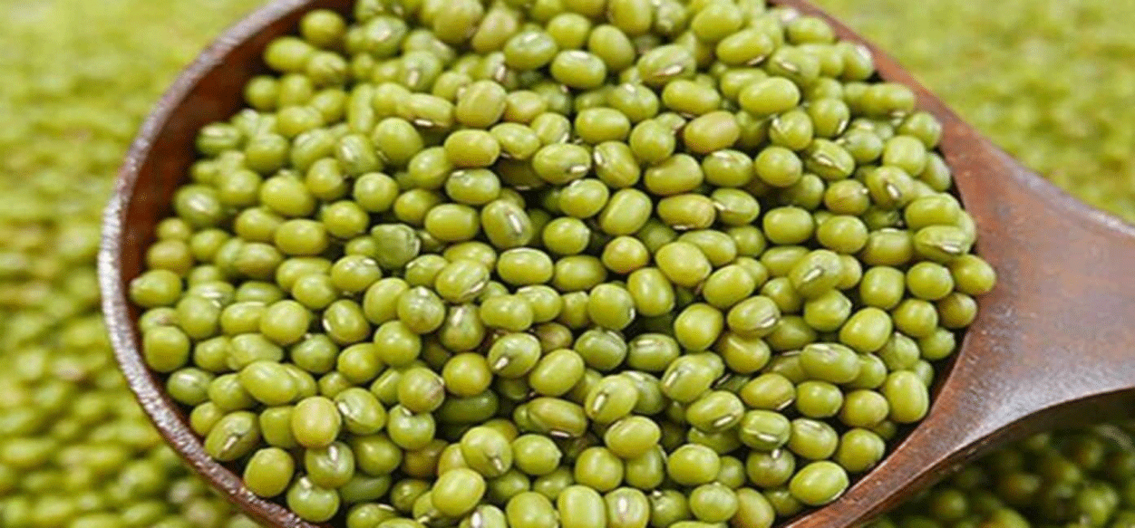 Portuguesa registró récord de crecimiento de 168% en rubros no petroleros