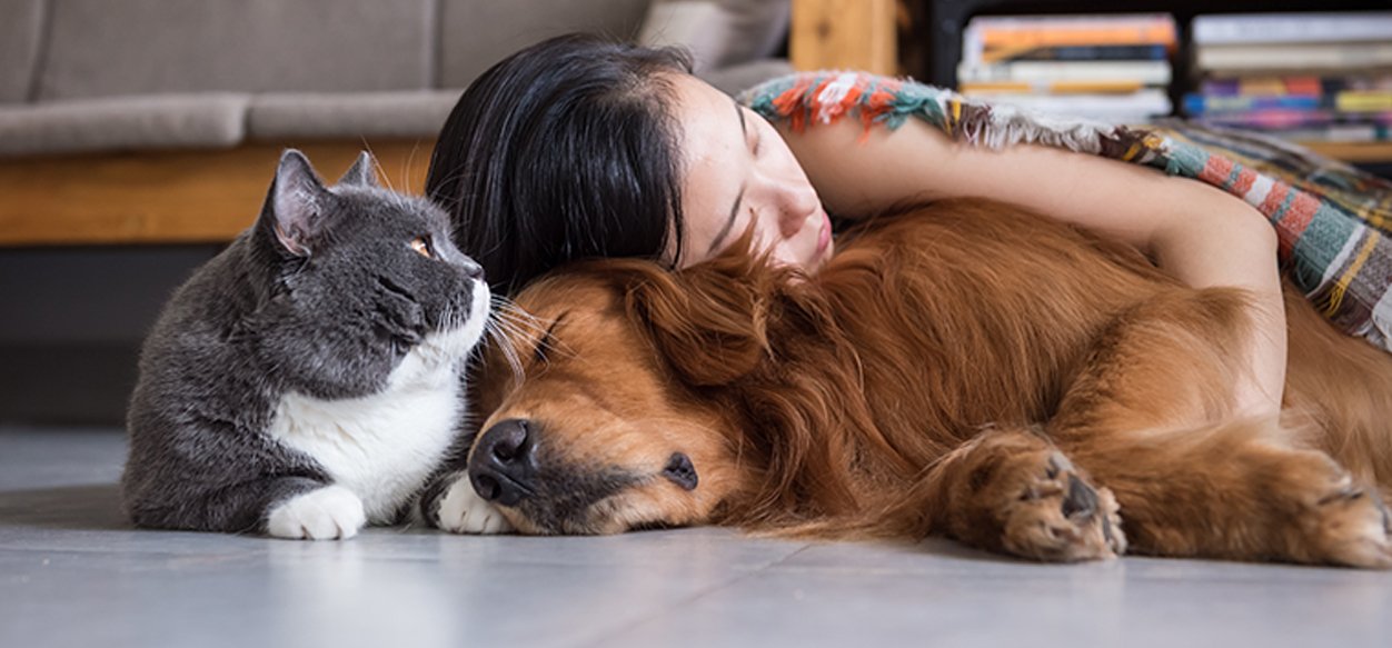 El poder sanador del amor de una mascota