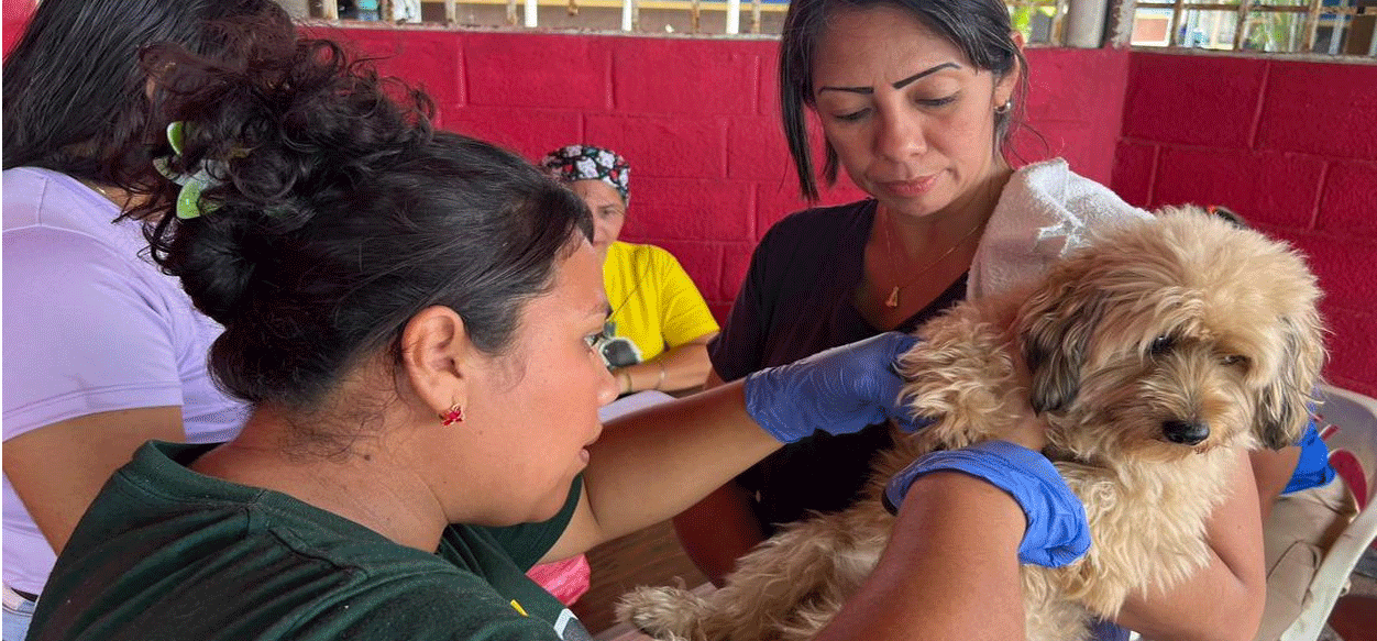 Gobierno de Monagas atiende a 150 mascotas en Maturín con jornada integral