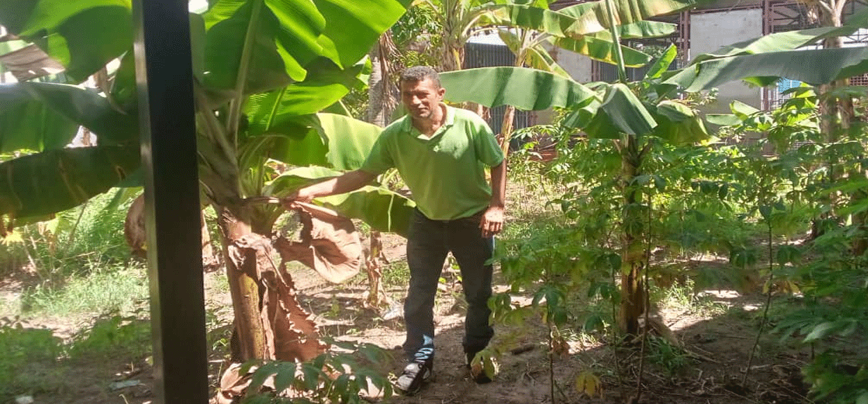 La UBV Monagas impulsa la soberanía alimentaria con su Conuco Productivo