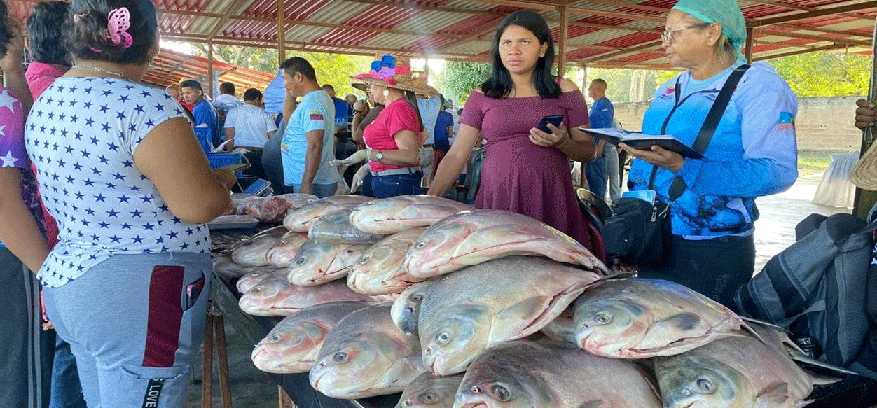 Megaferia de pescado favorece a familias del municipio Sotillo