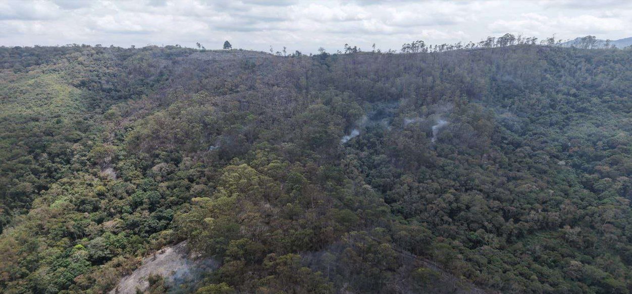 Sistema de Gestión de Riesgo contiene incendios en los parques nacionales Henri Pittier y Macarao