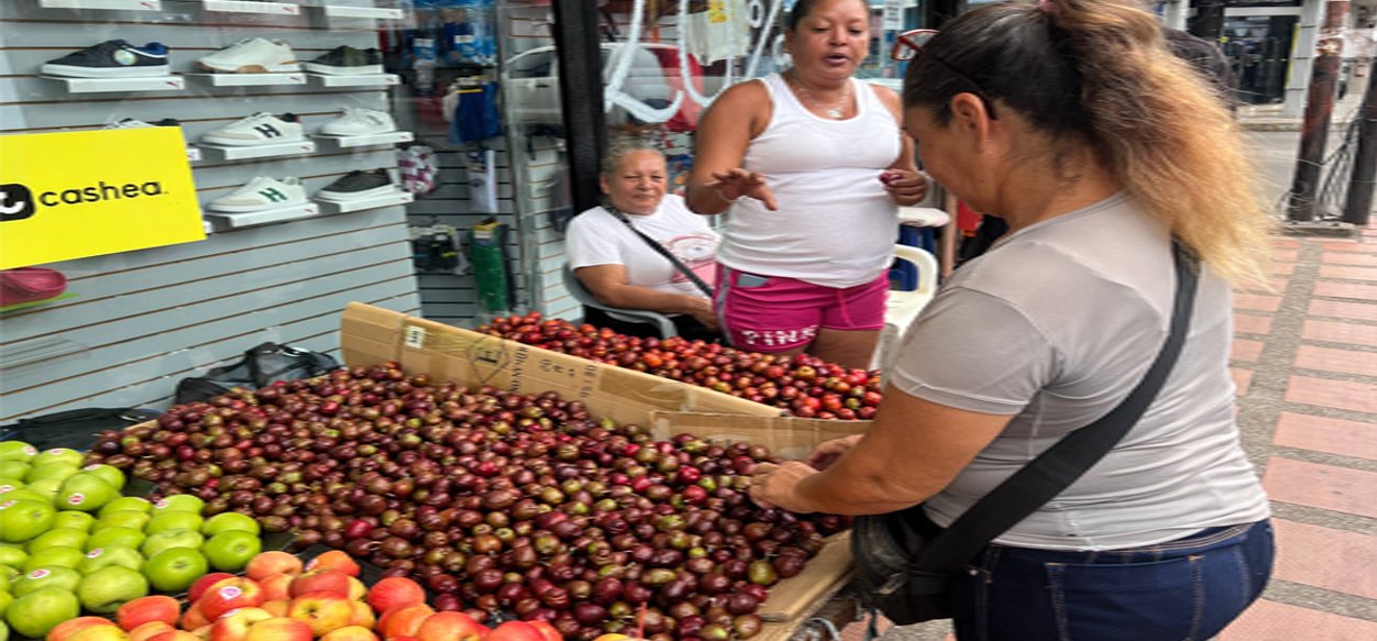Zafra de ciruelas impulsa ventas de comerciantes informales en Maturín