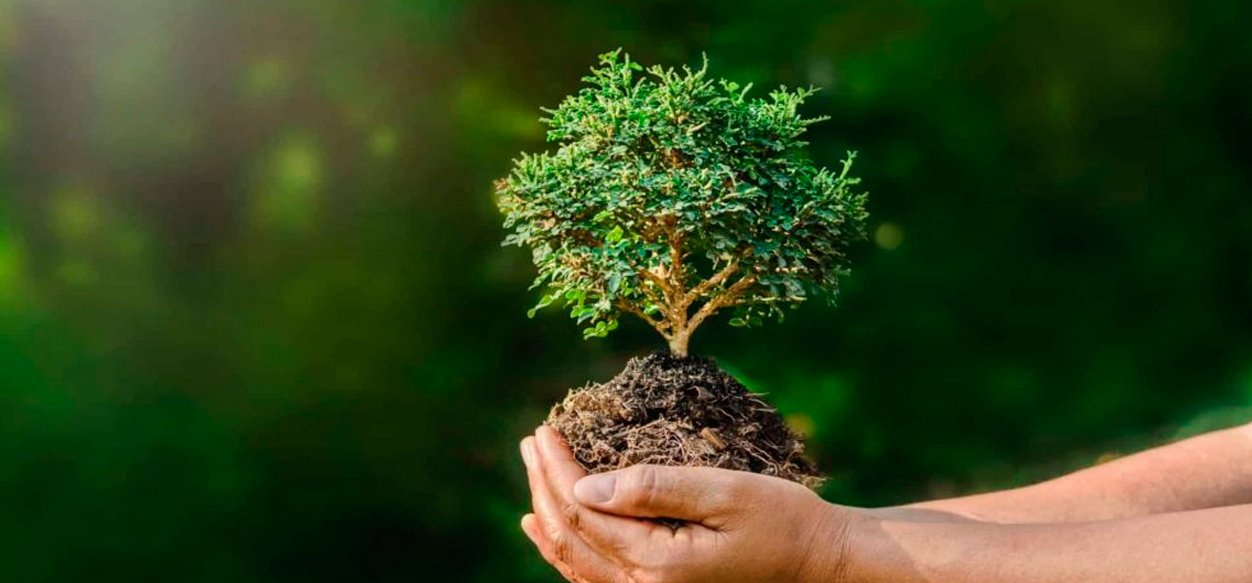 22 de abril: Día Internacional de la Madre Tierra