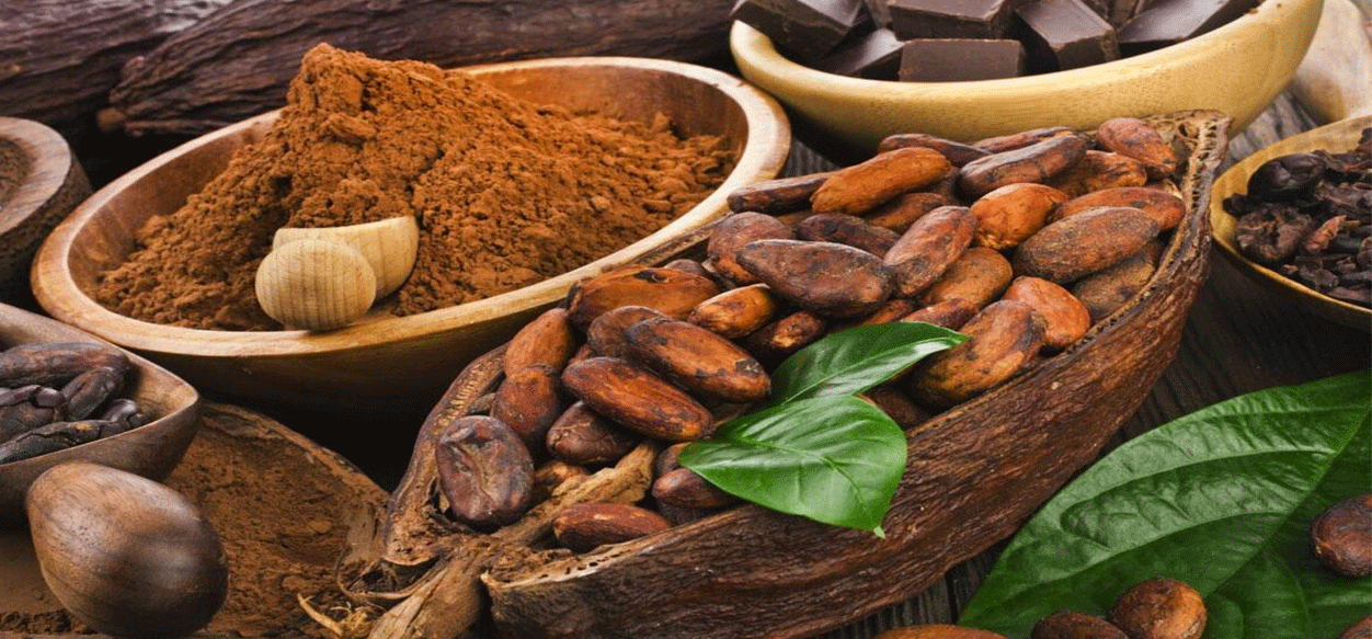Avanza Plan Científico-Tecnológico del Cacao