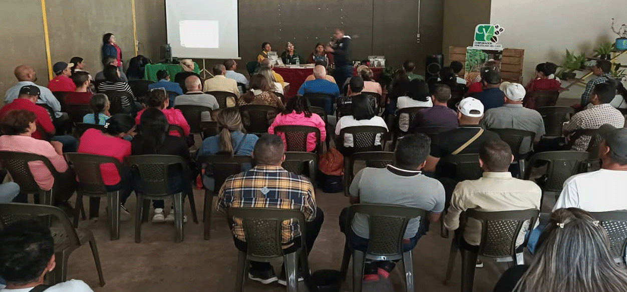 Certifican a 85 productores de Caripe y Acosta como Maestros Cafeteros
